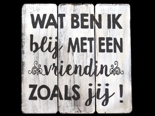 Tekstbord wat ben ik blij met een vriendin zoals jij